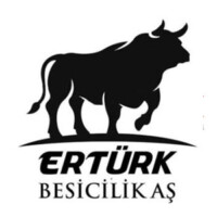 Ertürk Besicilik